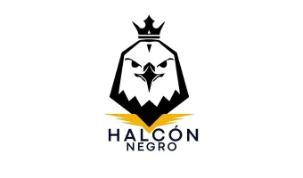 Moto Partes Halcón Negro